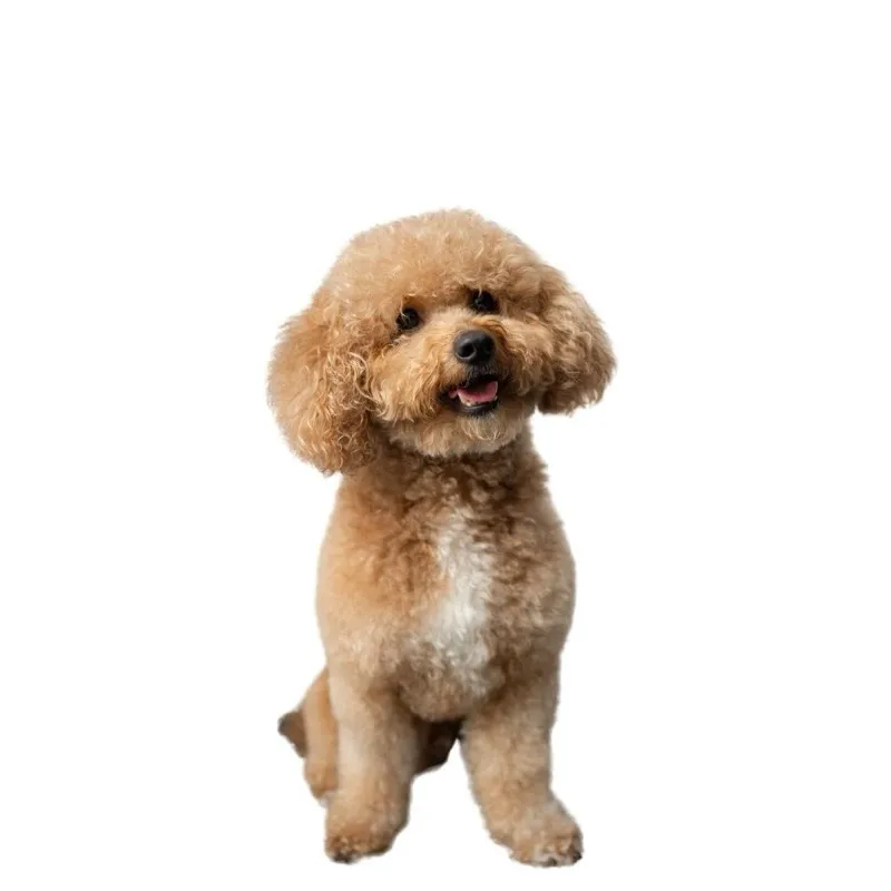 Milo